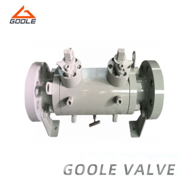 Double Block And Bleed Ball Valve-2