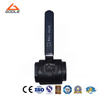 Carbon Steel Threaded Floating Ball Valve