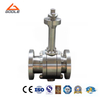 Forged Steel Cryogenic Metal Seated Floating Ball Valve